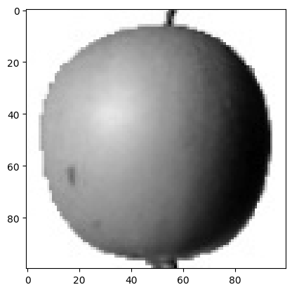 apple2